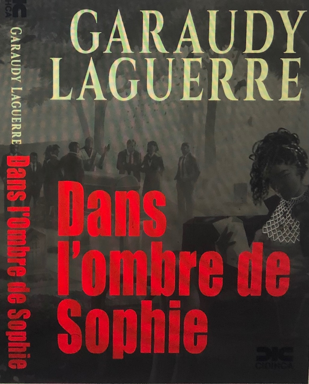 Dans l’ombre de Sophie : roman impressionnant !